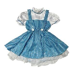 Rubie’s Costumes Deluxe Wizard of Oz Dorothy Dress Size S